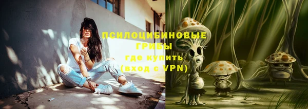 spice Бронницы