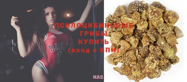 mix Бородино