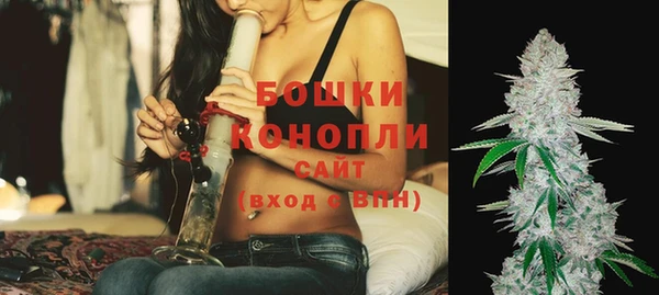 spice Бронницы