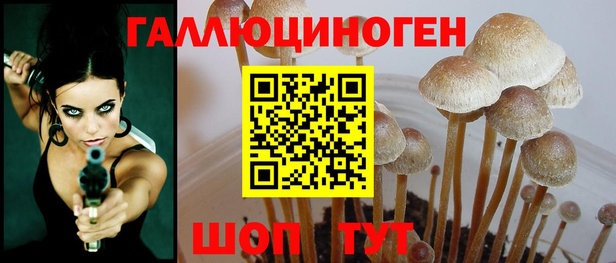 Галлюциногенные грибы GOLDEN TEACHER Мончегорск